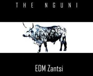 EDM Zantsi - The Nguni