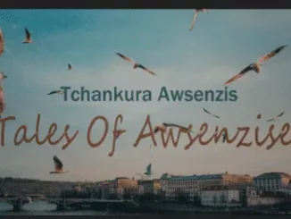 Tchankura Awsenzis - Broken Heart